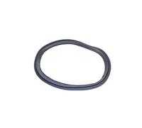 Joint Hublot Pour Seche Linge Bluesky - C00095978