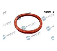 Joint, manchon de vanne papillon Dr.Motor DRM0613