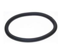 Joint moteur ø 100mm Aspirateur RS-RT3054 ROWENTA - 297592 G
