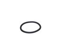 Joint moteur 100mm aspirateur silence force rs-rt3054