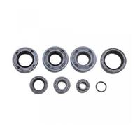 Joint moteur moto Minarelli 50 AM6