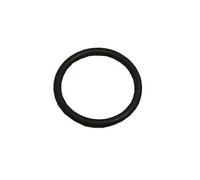 Joint Or (23,81x2,62) Pour Lave Vaisselle Indesit