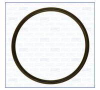 Joint, pompe à carburant AJUSA AJU16022000