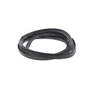 JOINT PORTE DE FOUR POUR FOUR AMICA - 8065348