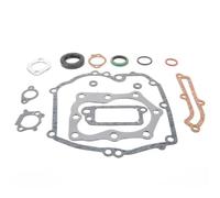 Joint pour Briggs & Stratton Quantum 12 CID - Produit neuf