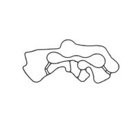 Joint, radiateur d'huile ELRING 794.600