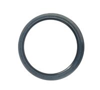 Joint SPI Convient pour Porsche Cayenne Convient pour Touareg Joint d'huile arrière de Vilebrequin 95810115320 06E103051J 95510105300 079103051F Joint Torique pour