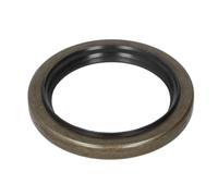Joint spi, flasque de boîte de vitesses ZF 0734310387ZF
