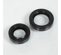 Joint spi moteur P2R pour Scooter Peugeot 50 Vivacity 2T 1999 à 2020 Neuf