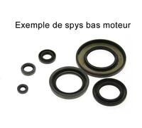 Joint spy bas moteur Centauro