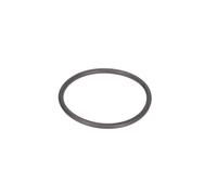 Joint torique 53x3,55 pour vérin hydraulique de pont élévateur EVERT ZL207101005
