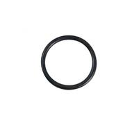AstralPool Joint torique pour ampoule de projecteur de piscine Ø 13 cm Noir