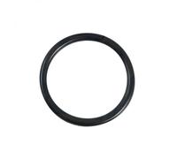 AstralPool Joint torique pour ampoule de projecteur de piscine Ø 13 cm Noir