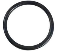 AstralPool Joint torique pour ampoule de projecteur de piscine Ø 13 cm Noir