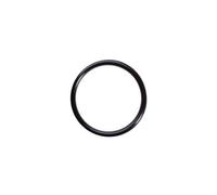 Joint torique cloche Cintropur nw 18-25 - 32 smartline 160-240