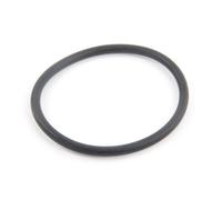 Joint torique d'adaptateur pour filtre à sable Side - Hayward