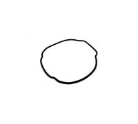 Hayward Spx3200t boîtier Joint torique