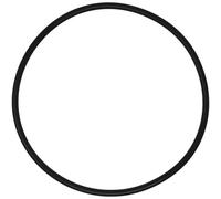 Joint torique de couvercle compatible avec les bacs feuilles Hayward AXW542 des s ries W530 et W560 (1 paquet)