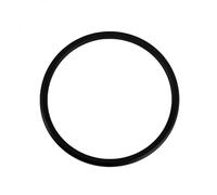 Joint torique de couvercle pour pompe de piscine - 500100110003 - Hayward