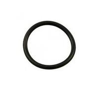 Hayward Joint torique CX250Z7 pour filtre à cartouche Star-Clear II Noir