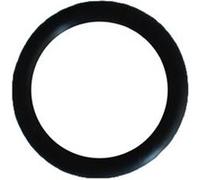 Hayward Joint torique CX900H pour filtre à cartouche de piscine – Noir