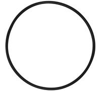 Joint torique de r servoir AppliaFit compatible avec Hayward DEX2400K pour filtres Micro-Clear DE Pro-Grid DE Super Star Clear et SwimClear (1 pa