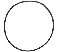 Joint torique de serrage compatible avec Pentair 39010200 pour r servoirs de filtration de piscine et de spa Select Clean & Clear Plus FNS Plus e