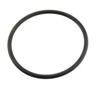 Joint torique d'électrode Ei W151281 R0738500 pour equipement de piscine