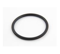 Joint torique plat de traversée pour filtre à sable Side - Hayward