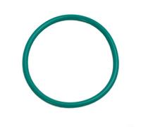 Joint torique pour amortisseur arrière de vélo Fox - 22 mm ID - En caoutchouc vert - Anneau de réglage de précharge pour VTT - Pièces d'entretien