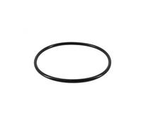 Joint torique pour chlorinateur de piscine - CLX200K - Noir - Hayward Noir G