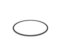 Hayward Joint torique SPX0704F - pour valves multiports et filtre à sable - Noir G