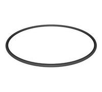 Joint torique pour couvercle de vanne SP0704 de piscine - SPX0704F - Hayward Noir G