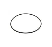 Hayward CXFHR1001 O-Ring pour la tête de Filtre