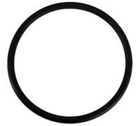 Hayward - Joint torique pour Nettoyeur de Piscine AEW530/60 - AXW542