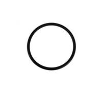 Hayward - Joint torique pour Pompe à Chaleur de Piscine - HWX200026009