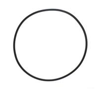 Joint torique pour réservoir de filtre de piscine Pentair 270010061S O484 Joint en caoutchouc durable pour systèmes de filtration SPA RITE PLM100 (1 pièce)