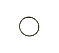 Joint torique pour support d'ampoule projecteur 300 W - Hayward