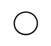 Hayward SPX0714L Joint torique de rechange pour vannes multiport et systèmes de filtre à sable