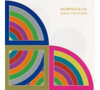 Joint Ventures [Import]
