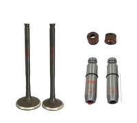Joints moteur pour moto Joint d'huile de guidage de Valve de moteur de moto adapté à Convient pour Honda CBF125 CBF 125 KVX CB125F XR125L GLR125 GLH125 CGR125(Valve and pipe)