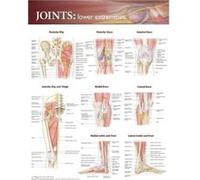 Joints of the Lower Extremities Anatomical Chart Anatomical Chart Company (Auteur)