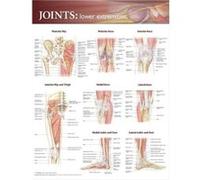 Joints of the Lower Extremities Anatomical Chart Anatomical Chart Company (Auteur)
