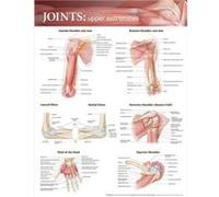 Joints of the Upper Extremities Anatomical Chart Anatomical Chart Company (Auteur)
