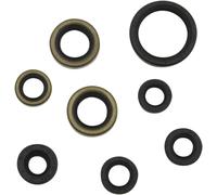 Joints spy vilebrequin Moose Racing 09350950