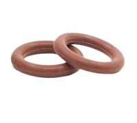 Joints toriques en caoutchouc fluoré marron, 10 pièces, CS3 mm, joint torique(19x13x3mm)