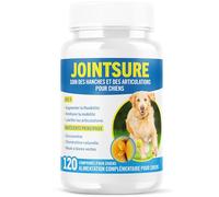 JOINTSURE Senior - Comprimés Premium de Soin articulaire avancé pour Chiens | 120 comprimés avec glucosamine et Moule Verte pour la mobilité et la solidité des articulations
