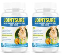 JOINTSURE Senior - Comprimés Premium de Soin articulaire avancé pour Chiens | 120 comprimés avec glucosamine et Moule Verte pour la mobilité et la solidité des articulations (Lot de 2)
