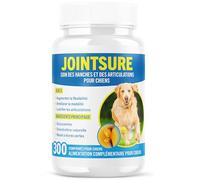JOINTSURE Senior - Comprimés Premium de Soin articulaire avancé pour Chiens | 300 comprimés avec glucosamine et Moule Verte pour la mobilité et la solidité des articulations