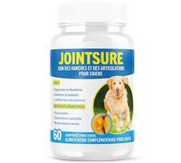 JOINTSURE Senior - Comprimés Premium de Soin articulaire avancé pour Chiens | 60 comprimés avec glucosamine et Moule Verte pour la mobilité et la solidité des articulations
